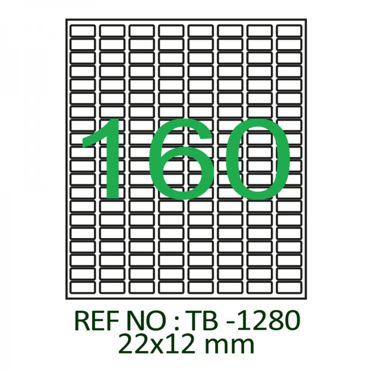22 X 12 Lazer Etiket TB-1280